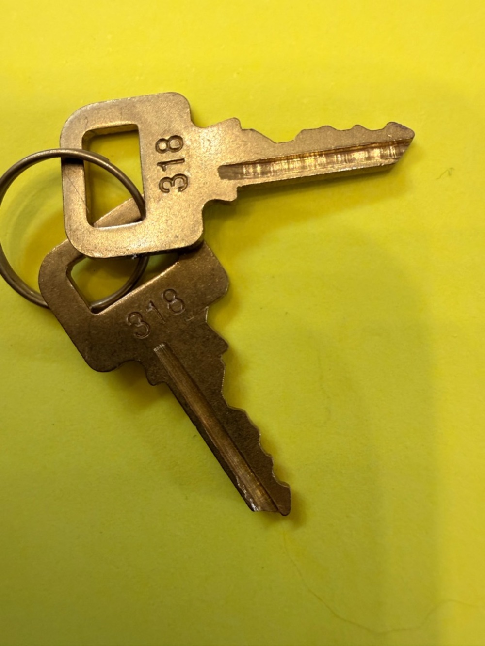 Louis Vuitton lock keys #318